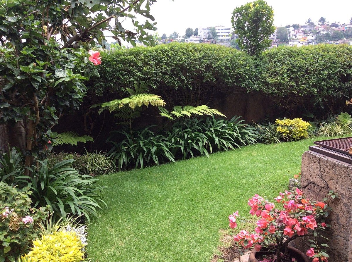 Casa en Lomas de las Águilas, Álvaro Obregón, foto 3 de 20