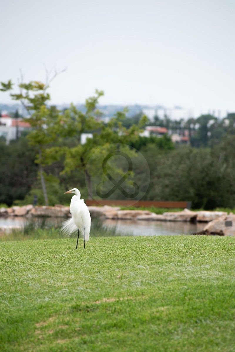 TERRENOS | VENTA | LAGO DE JURIQUILLA | Residencial Exclusivo con Espejo de Agu - foto 3