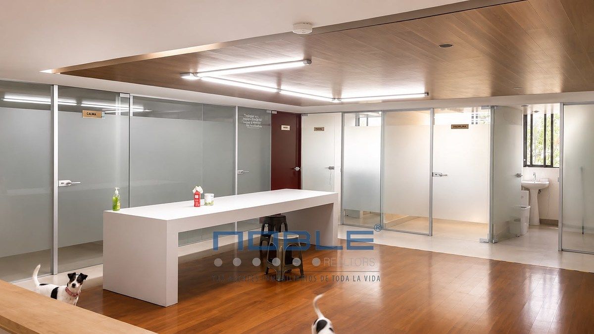 Local Comercial en Renta de 250 m², foto 1 de 15