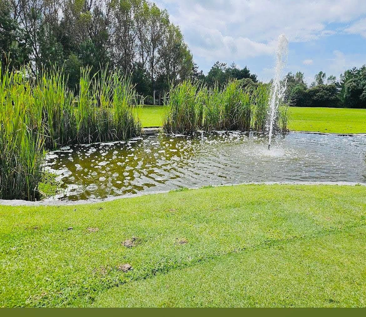 Terreno en Ignacio Zaragoza, Huamantla, foto 5 de 9