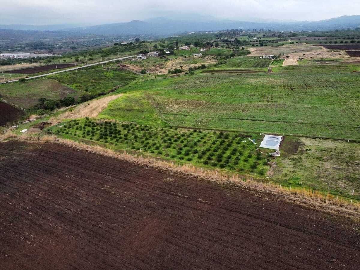 Lote em Yecapixtla, Yecapixtla, foto 2 de 5
