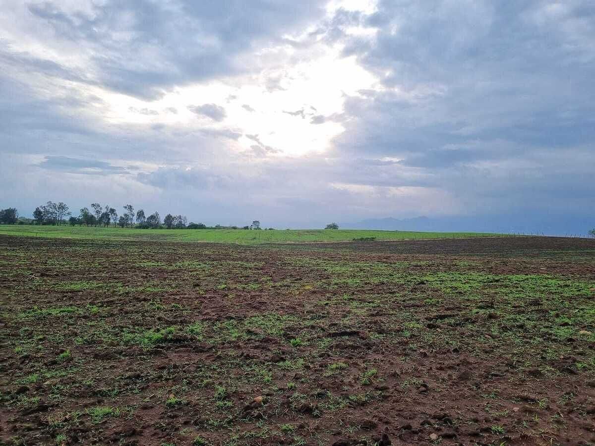 Lote em Yecapixtla, Yecapixtla, foto 5 de 5