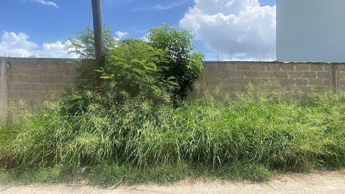Terreno en venta en Chichí Suárez, Mérida, Yucatán, foto 1 de 5