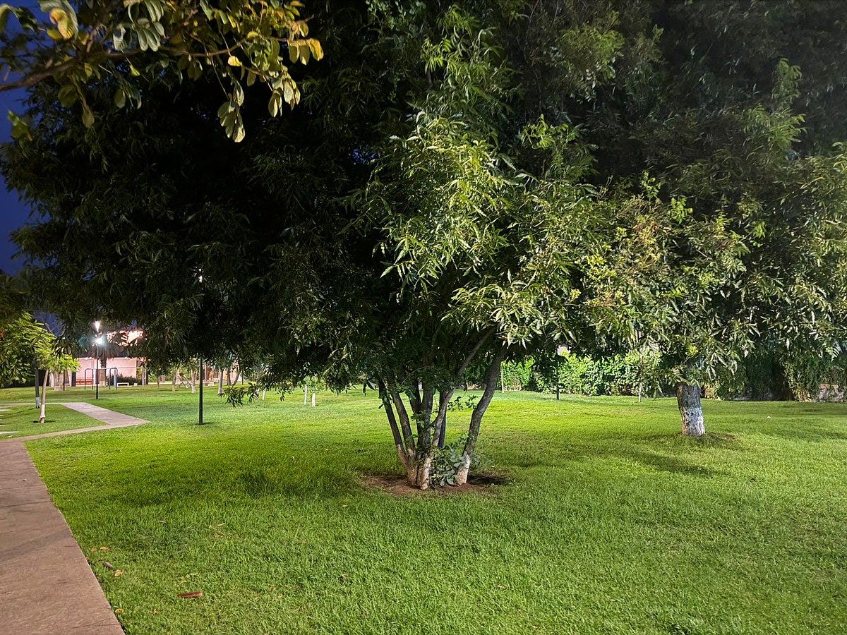 Casa en Arboreto Residencial, Zapopan, foto 25 de 30