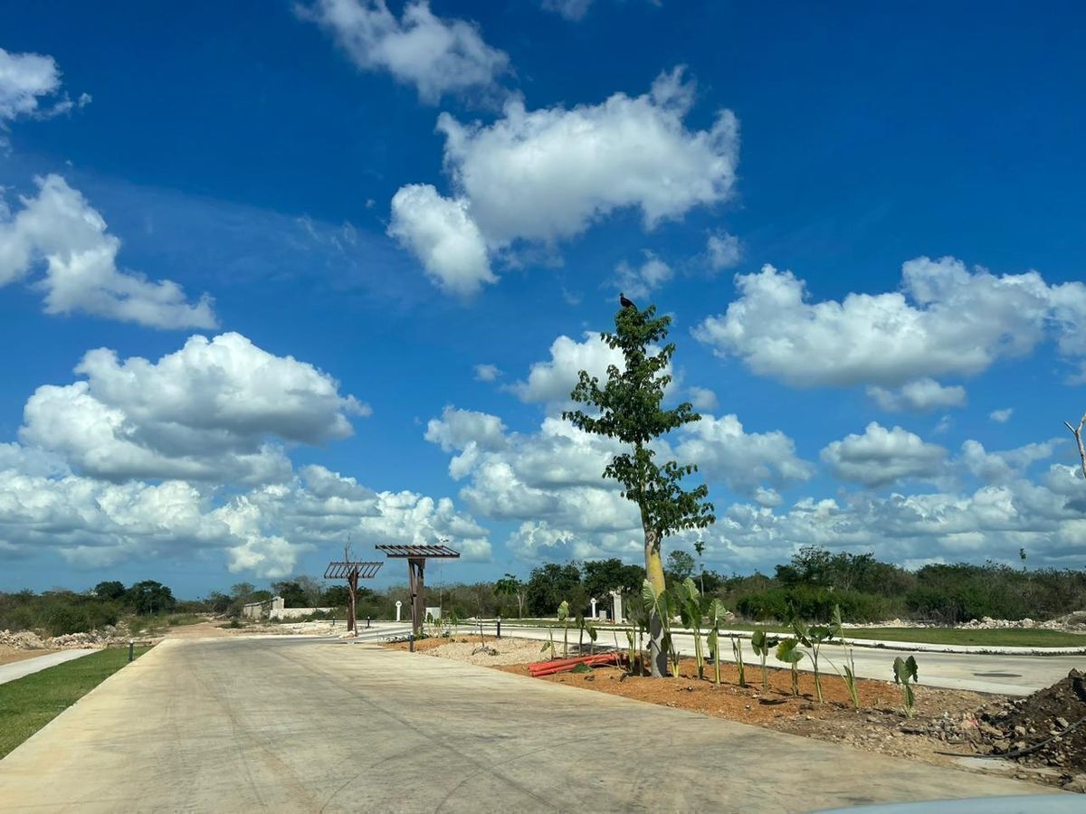 Terreno en Cabo Norte, Mérida, foto 33 de 41