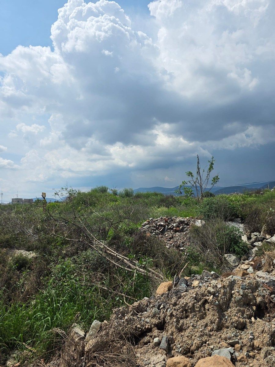 Terreno en El Chacón (Nuevo Centro de Población ), Mineral de la Reforma, foto 4 de 5