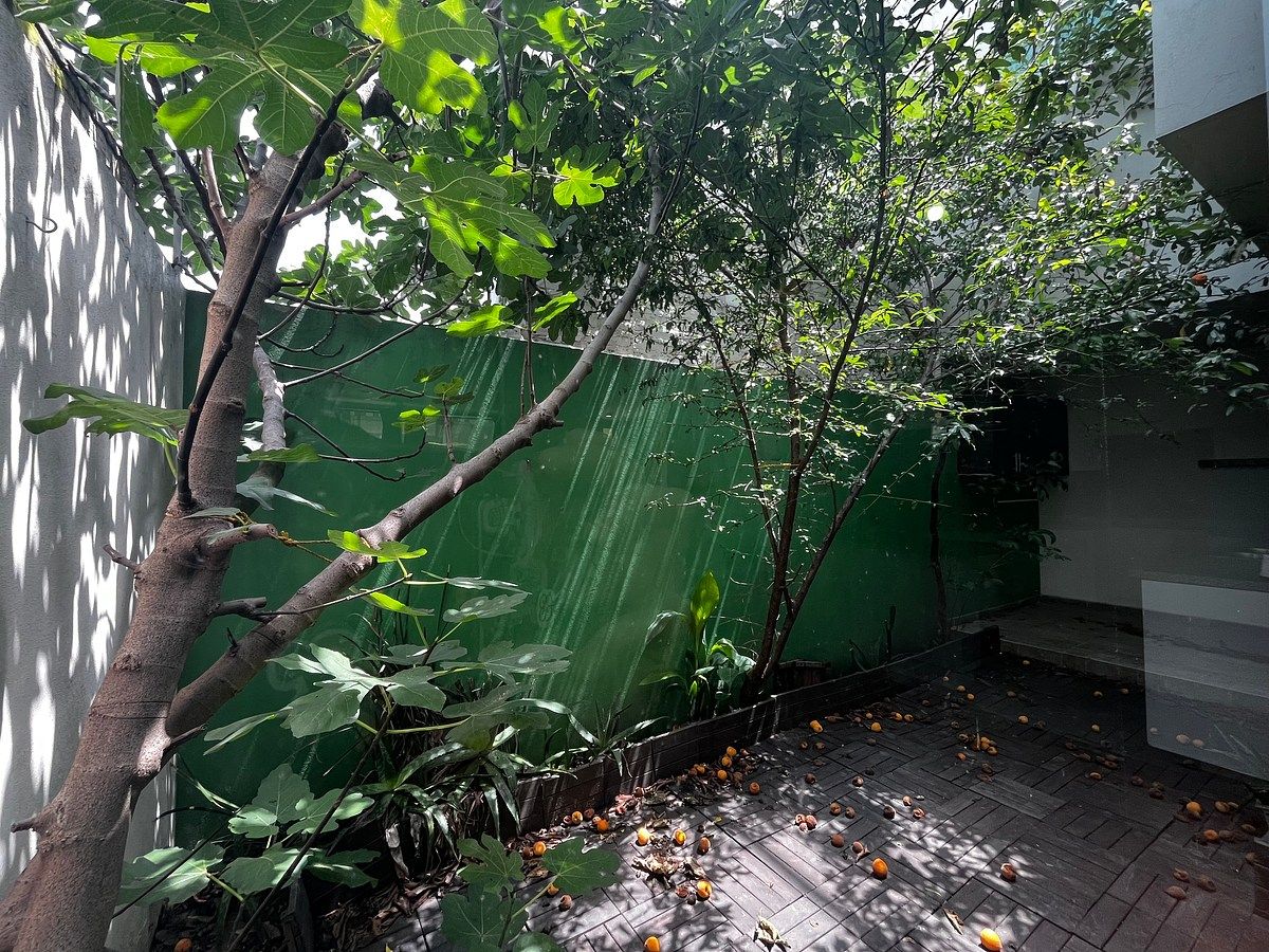 Casa em condomínio fechado em Milenio III, Querétaro, foto 9 de 28
