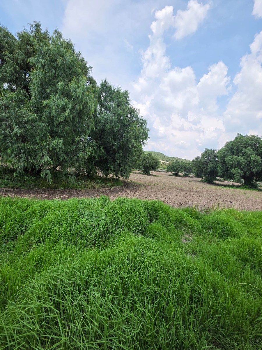 Terreno en San Antonio Oxtoyucan, Zempoala, foto 2 de 8