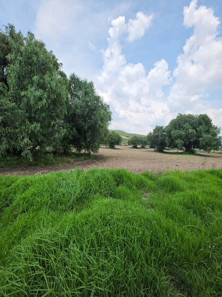 Terreno en San Antonio Oxtoyucan, Zempoala, foto 4 de 8