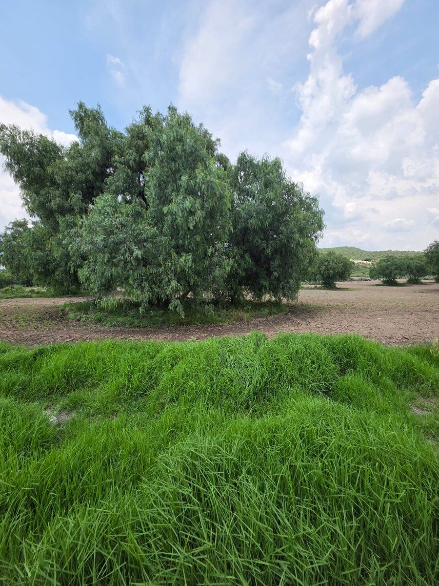 Terreno en San Antonio Oxtoyucan, Zempoala, foto 6 de 8