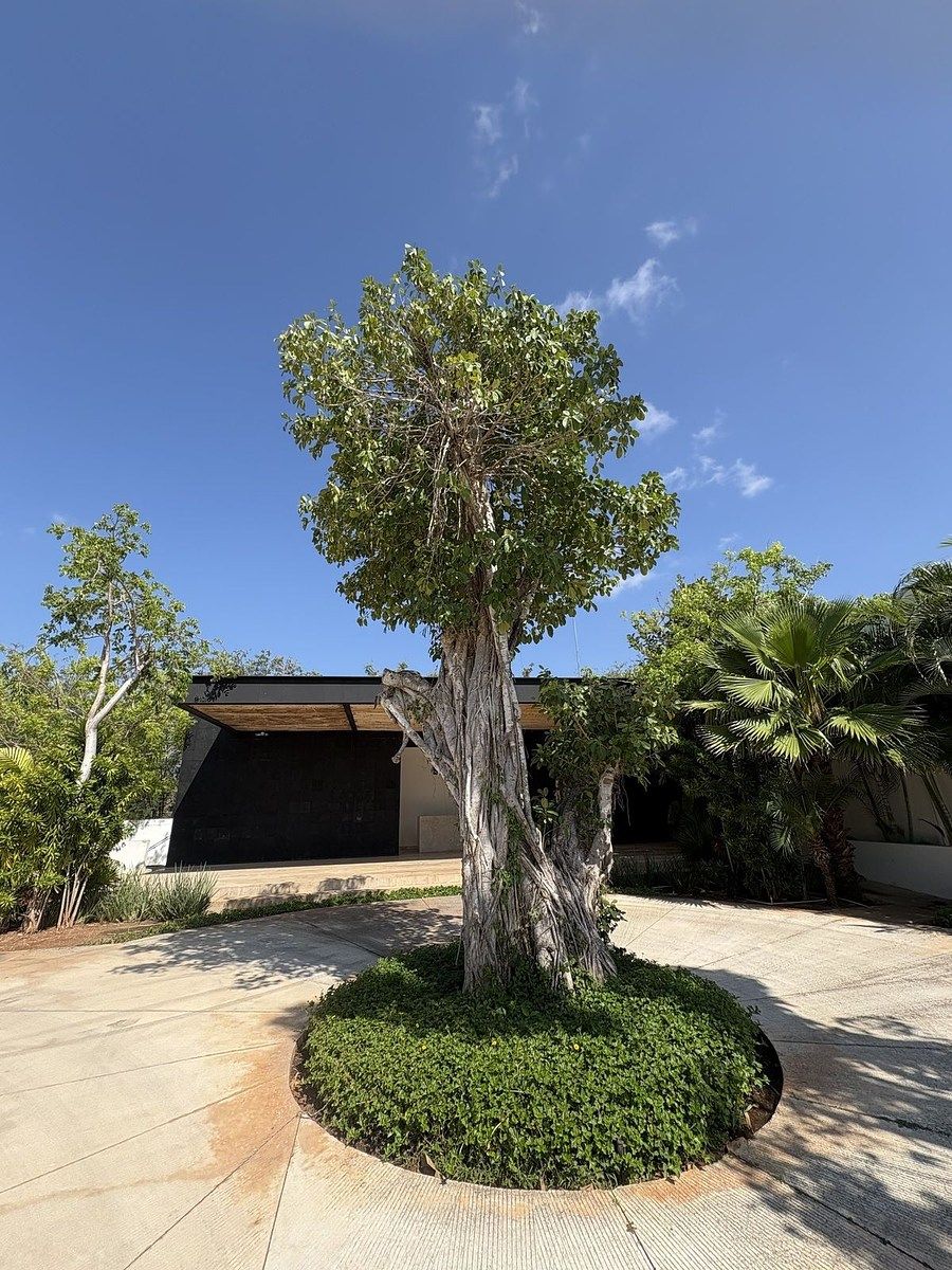 House in Gated Community in Cholul, Mérida, photo 25 of 40