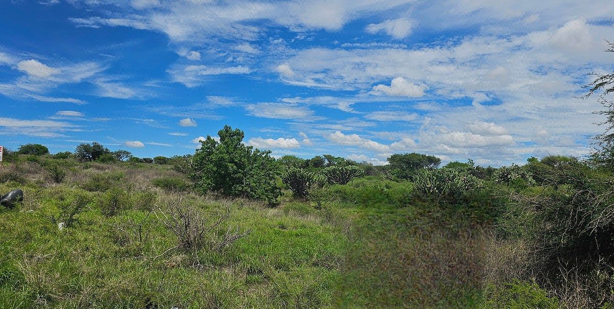 Terreno comercial y habitacional en venta 7000m en Juriquilla