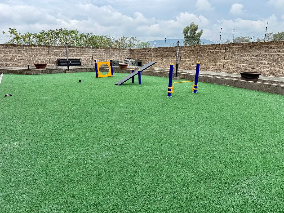Apartment in Villa Verona, Zapopan, photo 18 of 20