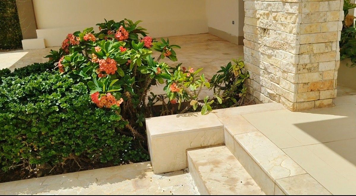 House in Temozón Norte, Mérida, photo 16 of 28