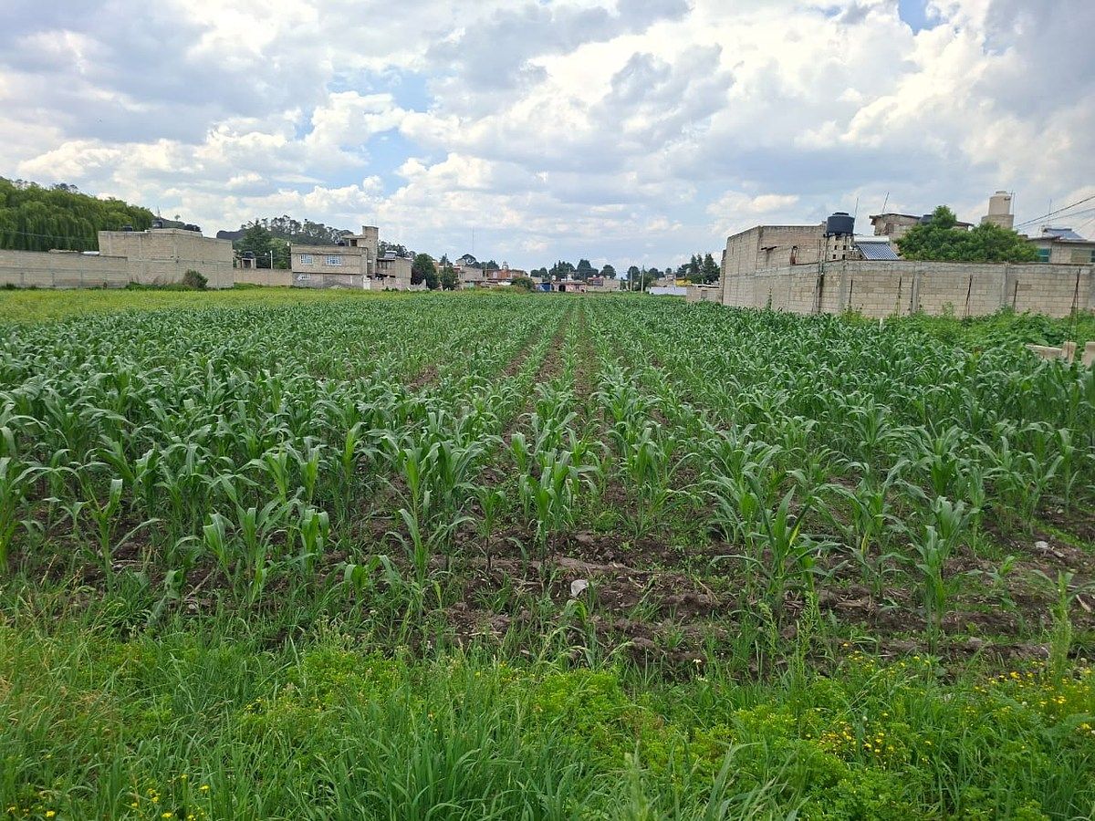 Terreno en Las Américas, Chapultepec, foto 10 de 15