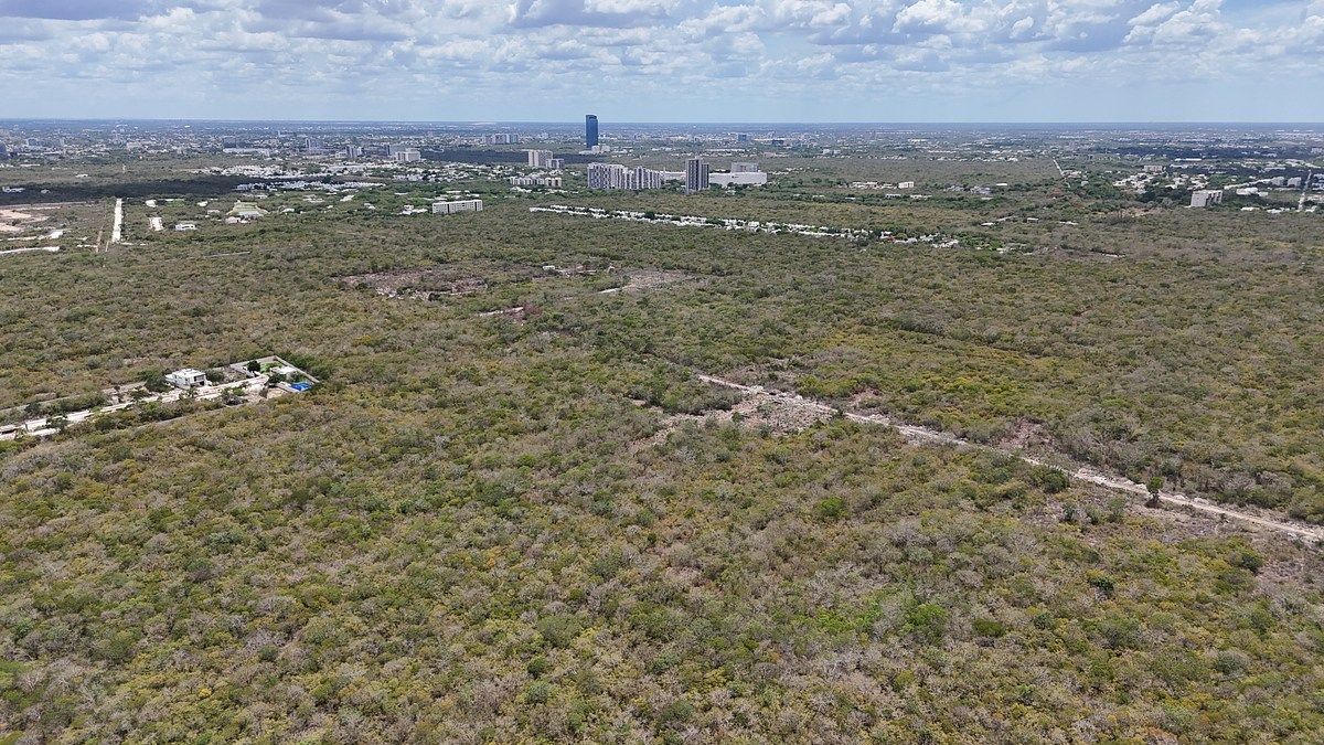 Lote em Temozón Norte, Mérida, foto 16 de 24