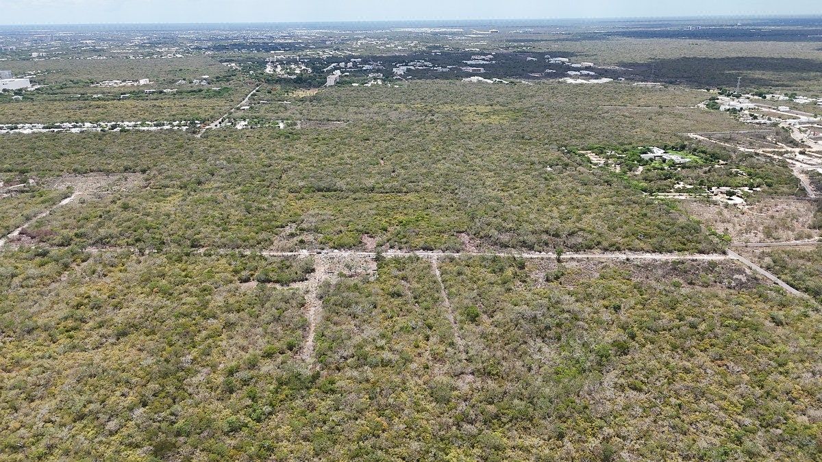 Lote em Temozón Norte, Mérida, foto 20 de 24