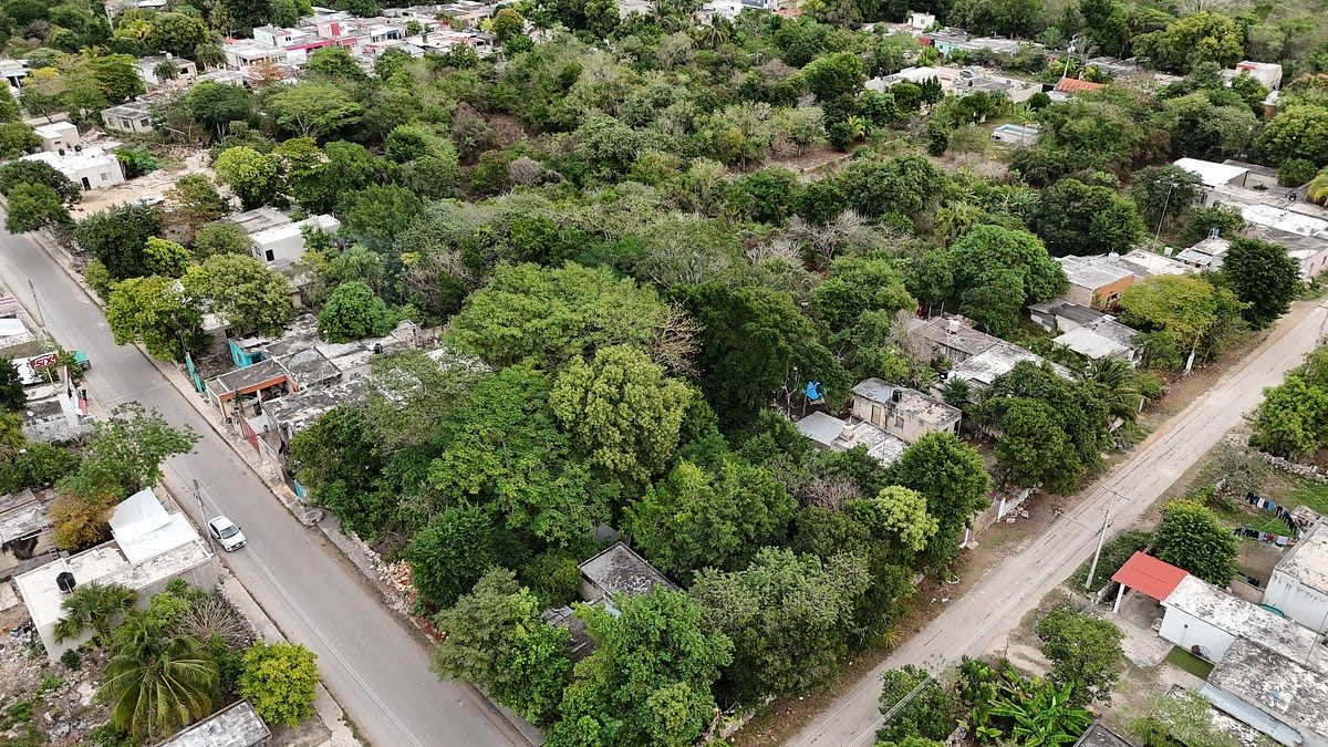 Terreno en Venta en Ticopó, Yucatán | Ideal para Inversión o Desarrollo, foto 1 de 8