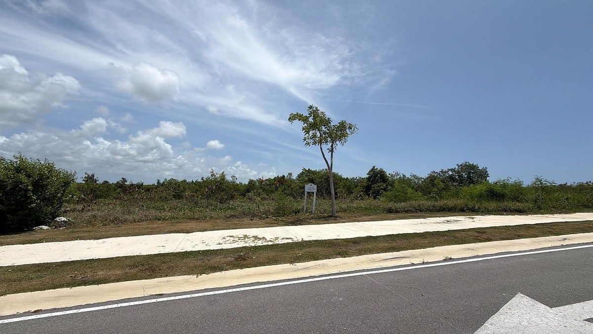 Terreno en Cap Cana, Punta Cana, foto 3 de 8