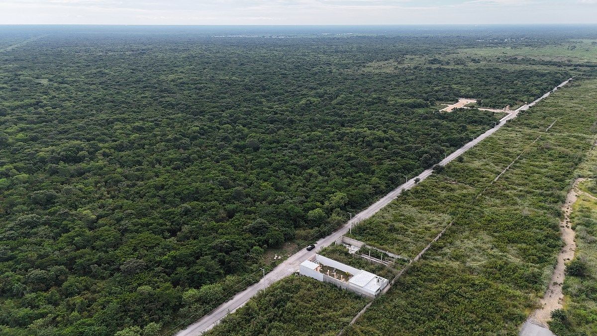 Lote em Conkal, Conkal, foto 9 de 16