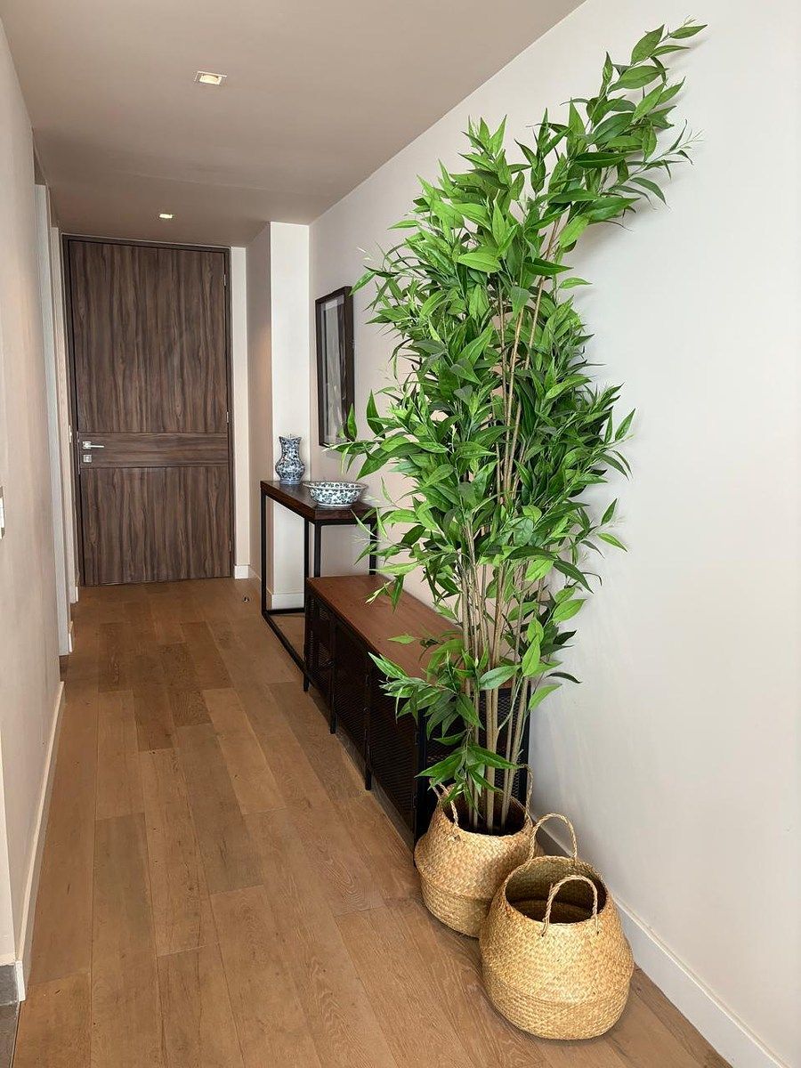 Apartamento em Contadero, Cuajimalpa de Morelos, foto 7 de 14
