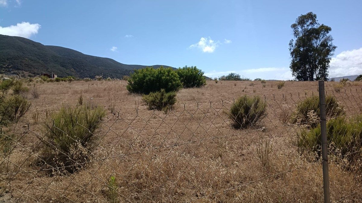 Terreno en San Antonio de Las Minas, Ensenada, foto 2 de 6