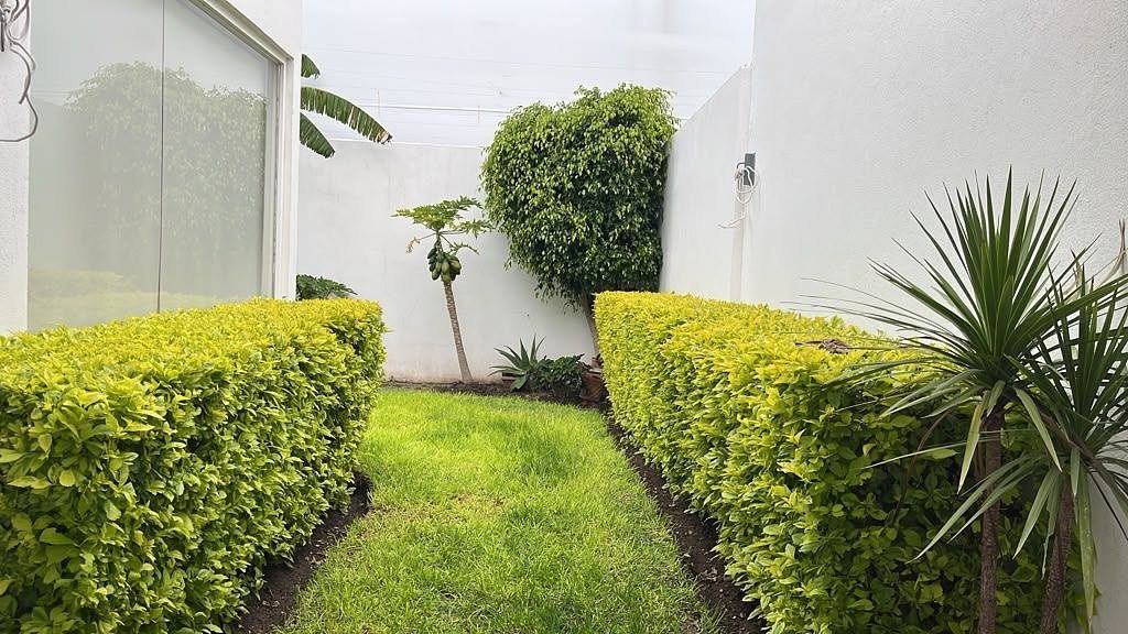 Jardín lateral, foto 2 de 8