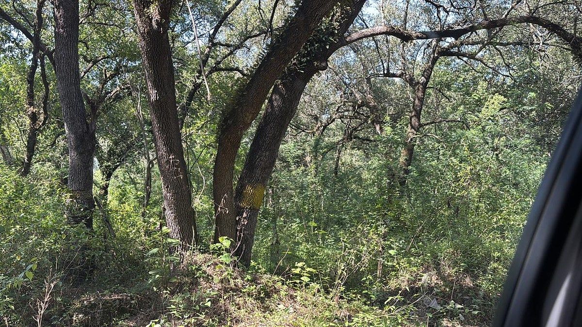 Terreno en venta en El Barrial, Santiago | 78,414 m² | Carretera Nacional, foto 1 de 10