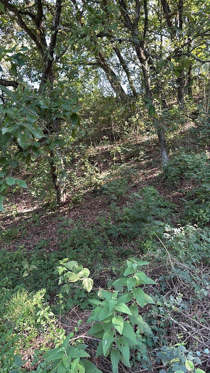 Terreno en El Barrial, Santiago, foto 6 de 10