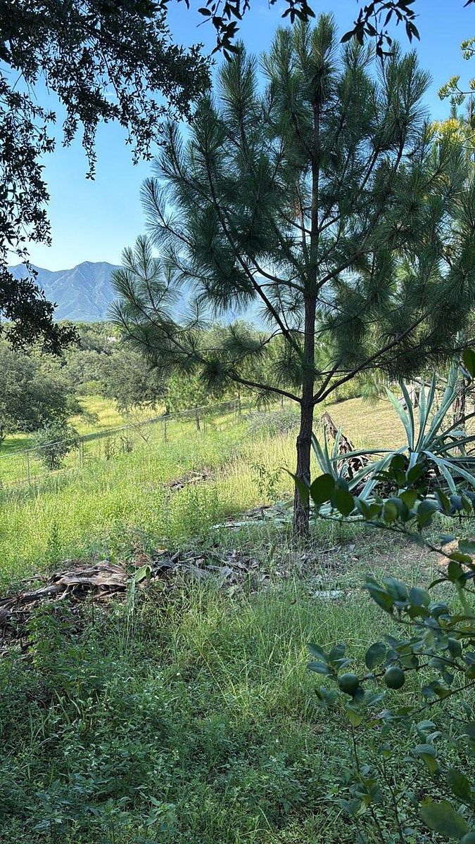 Terreno en El Barrial, Santiago, foto 8 de 10