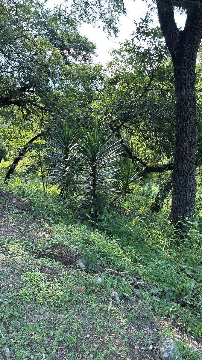 Terreno en El Barrial, Santiago, foto 9 de 10