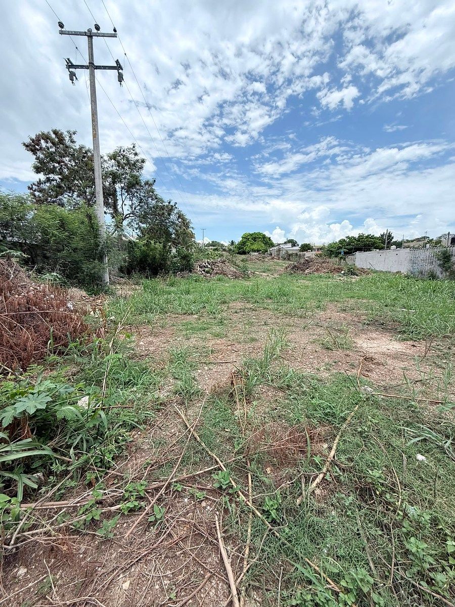 Lot in Ciudad Concordia, Campeche, photo 4 of 5