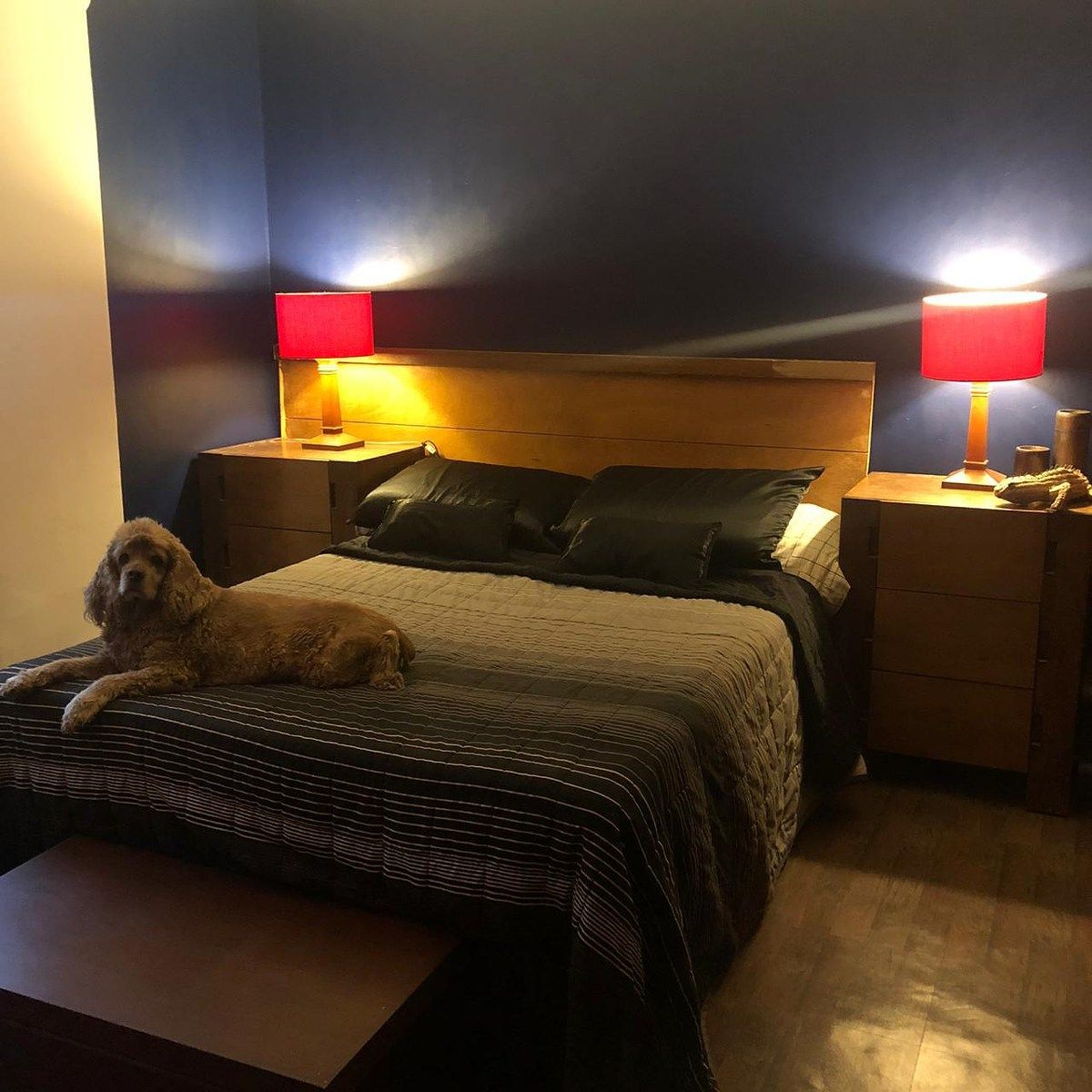 Apartamento em Narvarte Oriente, Benito Juárez, foto 4 de 10