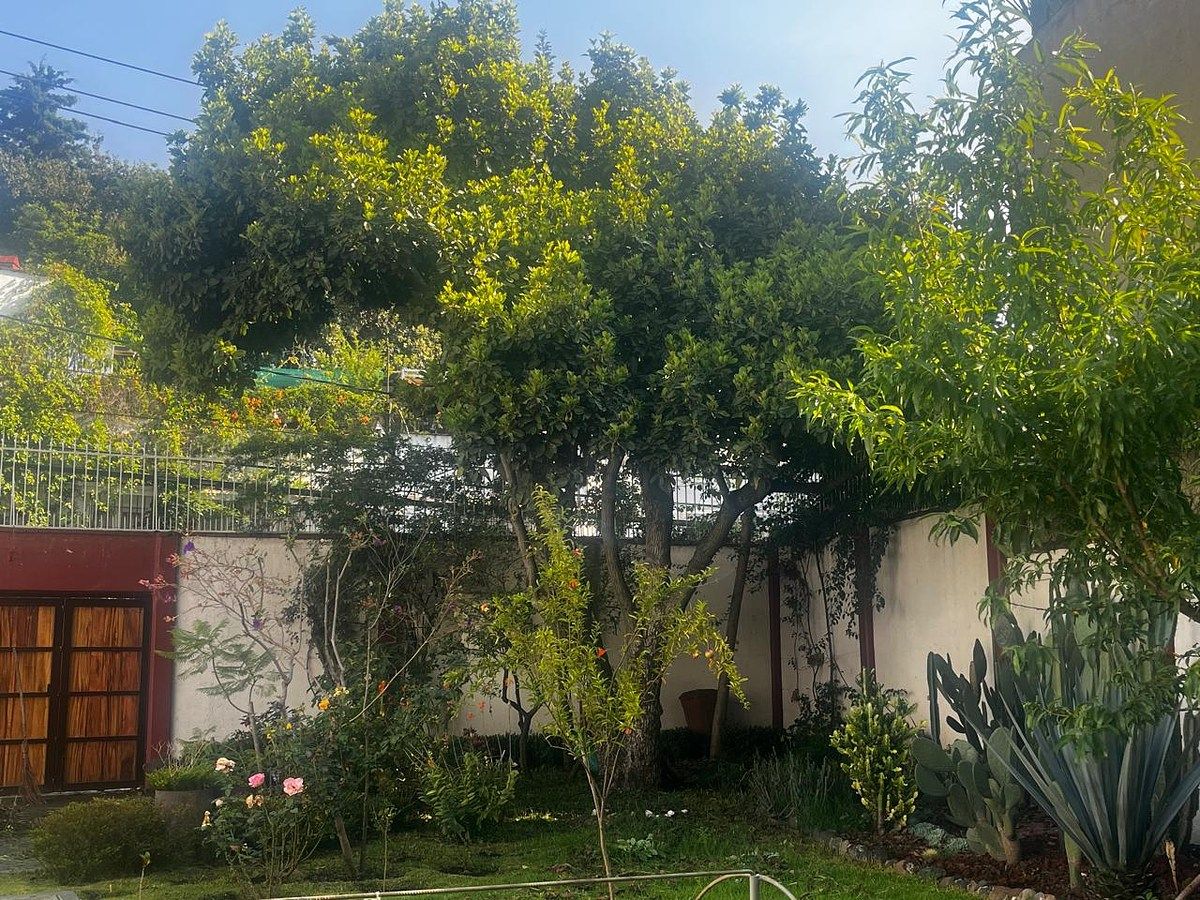 Terreno en San Angel, Álvaro Obregón, foto 2 de 8