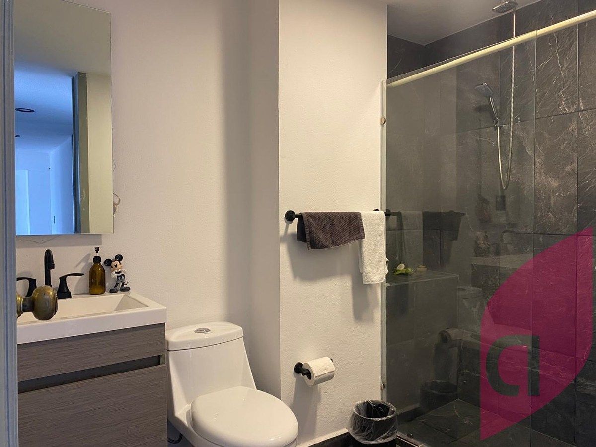 Apartment in Cuauhtémoc, Cuauhtémoc, photo 46 of 50