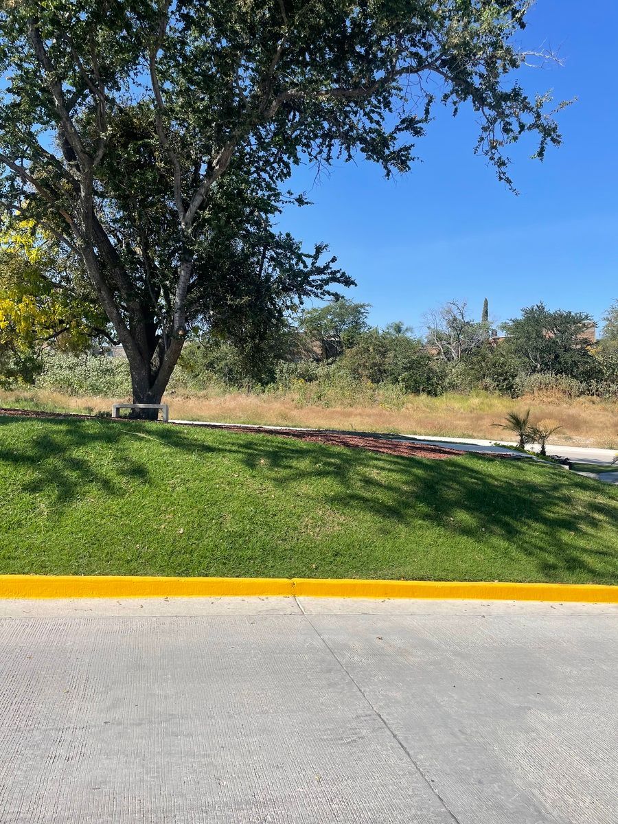 Terreno en Los Conejos, Tonalá, foto 15 de 15