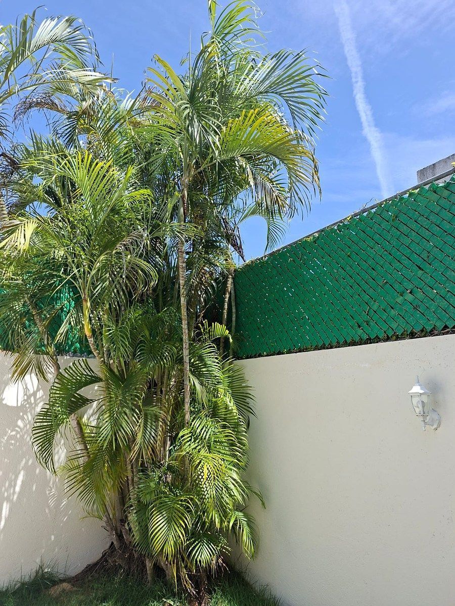 Casa em San Ramon Norte, Mérida, foto 5 de 24