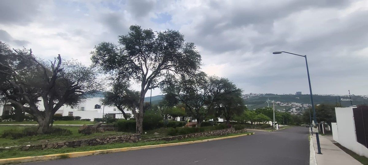 Parque vial camellón central, foto 4 de 32