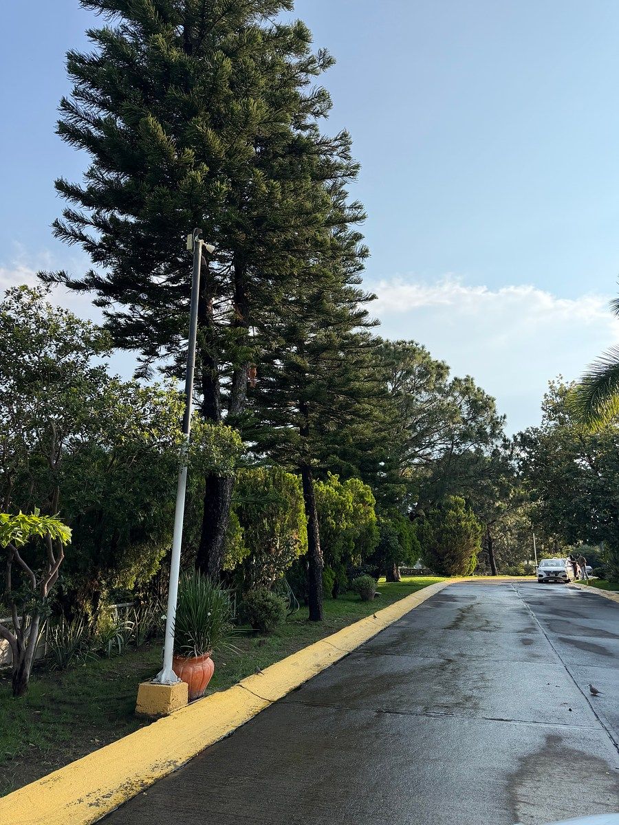 Terreno en Loma Real, Zapopan, foto 4 de 7