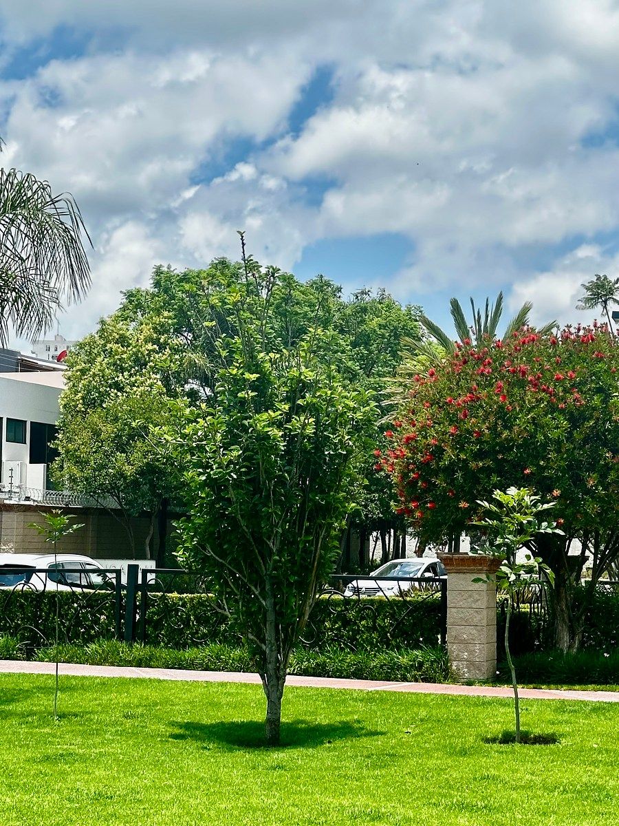 Casa em Lomas de Angelópolis, San Andrés Cholula, foto 11 de 15