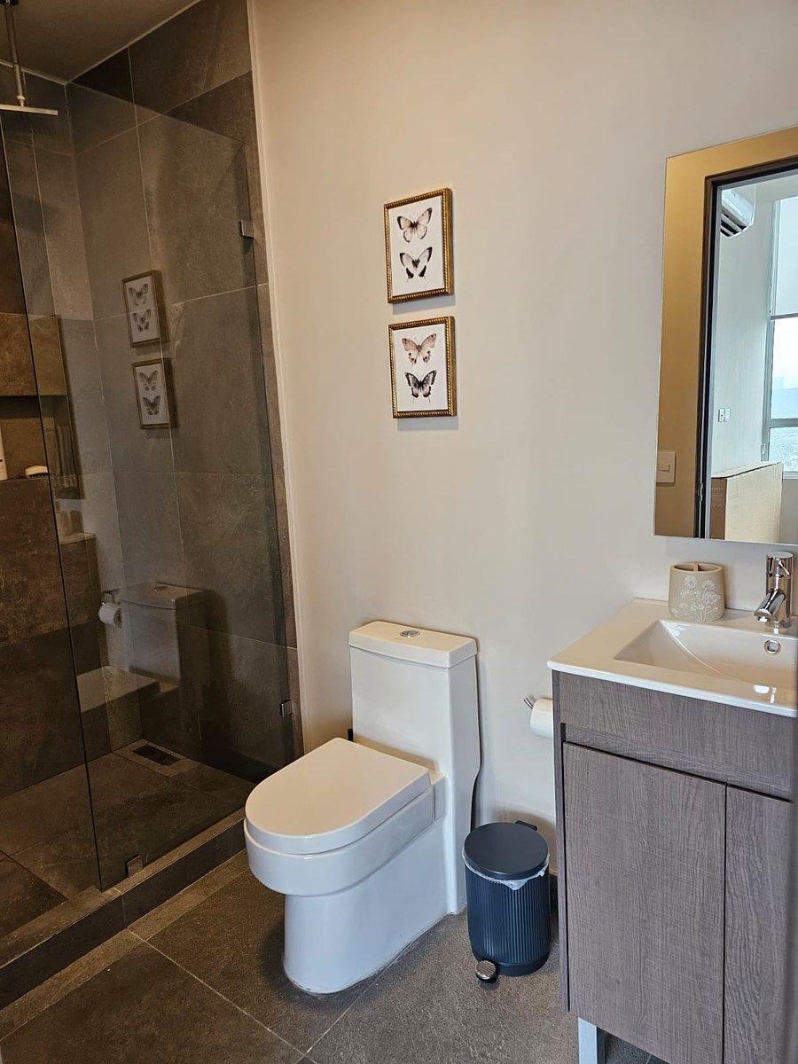 Apartment in Centro, Monterrey, photo 14 of 44