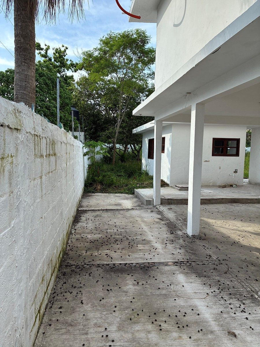 Casa en La Calzada, Tuxpan, foto 2 de 35