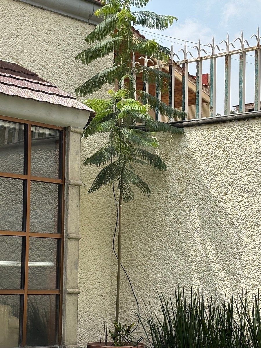 Departamento en Calacoaya, Atizapán de Zaragoza, foto 41 de 41