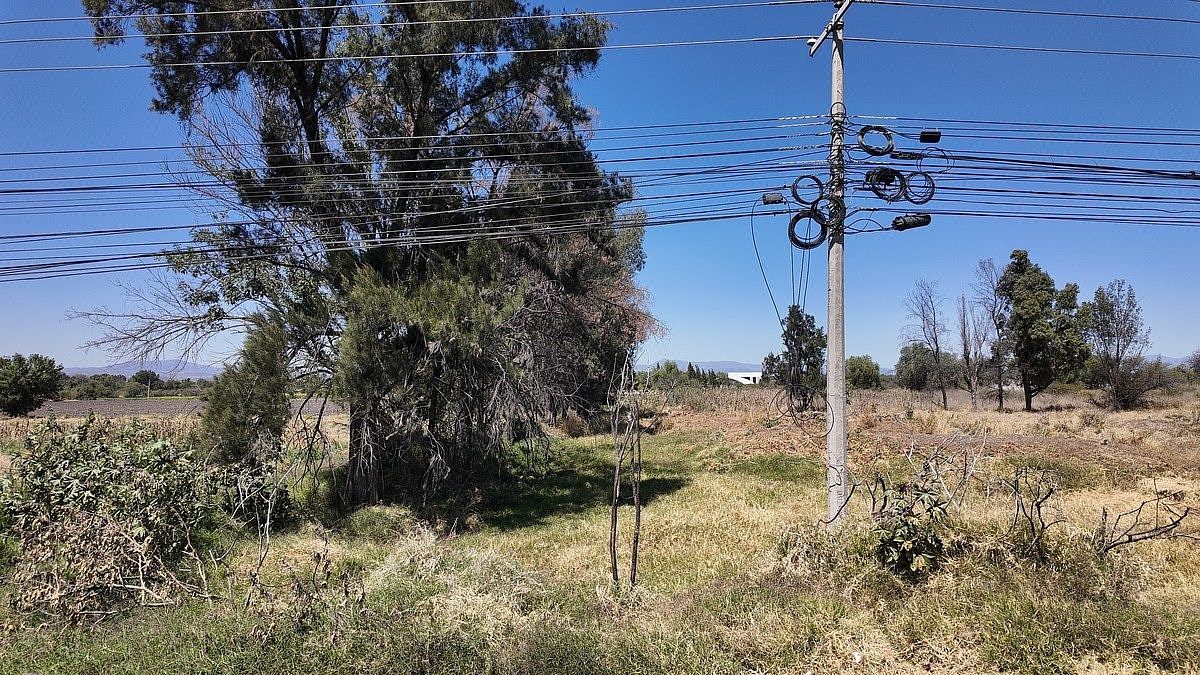 Commercial Lot in Los Ángeles, Corregidora, photo 6 of 13
