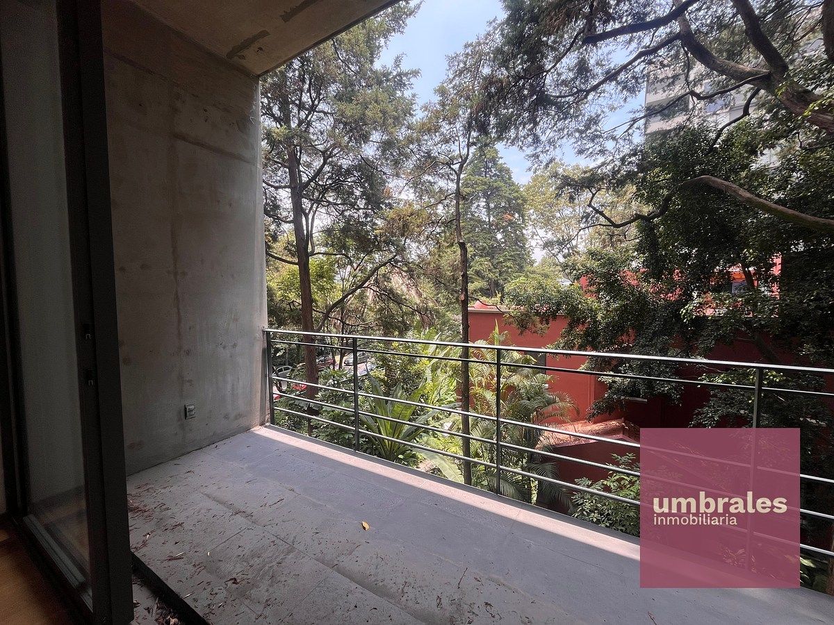 Arquitectura de Javier Sánchez, privacidad y áreas verdes en la Condesa, foto 1 de 13