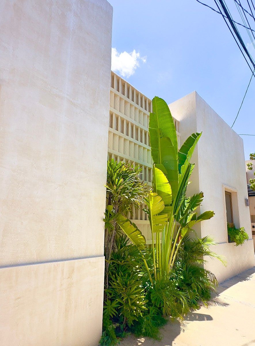 House in Mérida Centro, Mérida, photo 40 of 43