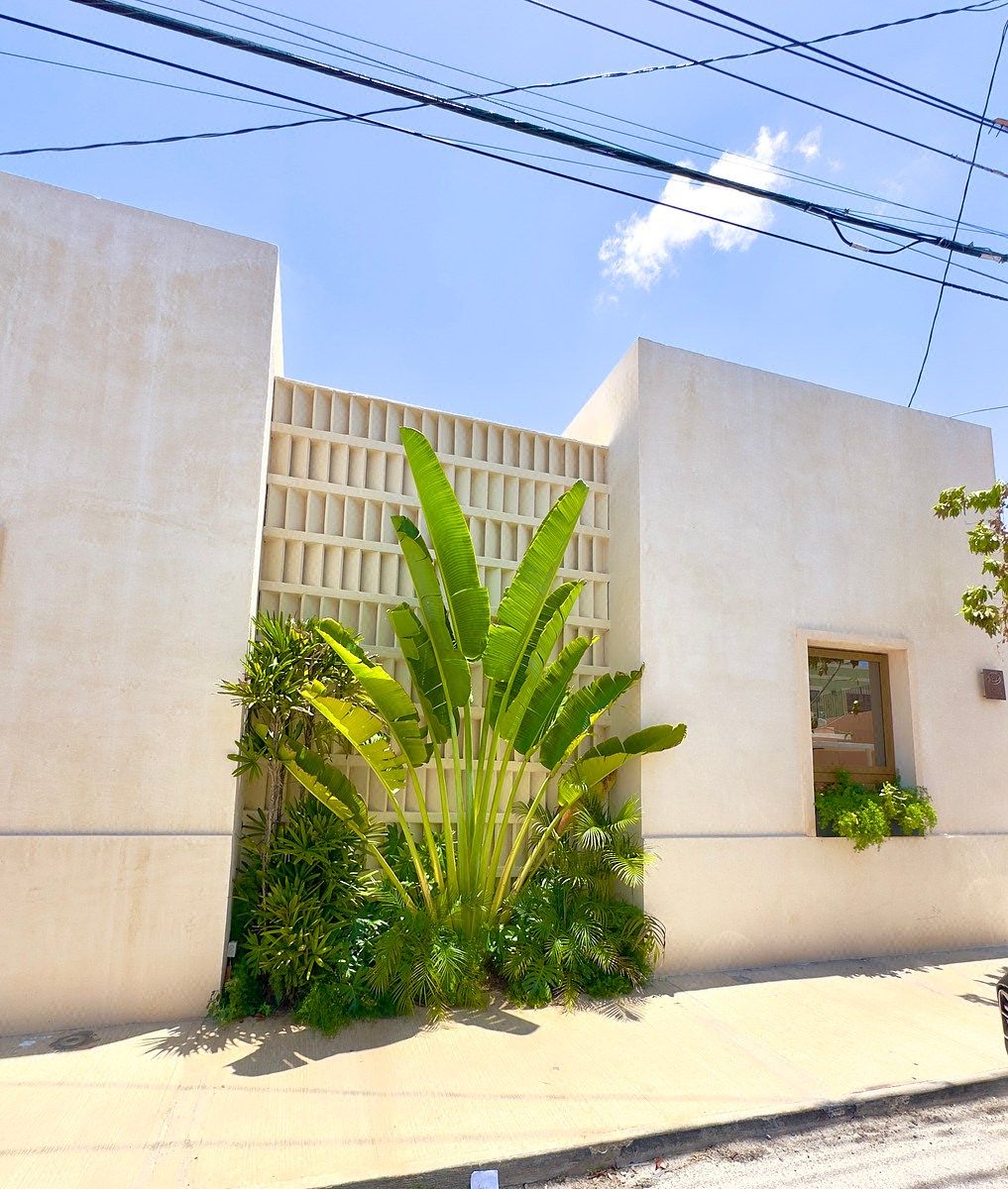 House in Mérida Centro, Mérida, photo 42 of 43
