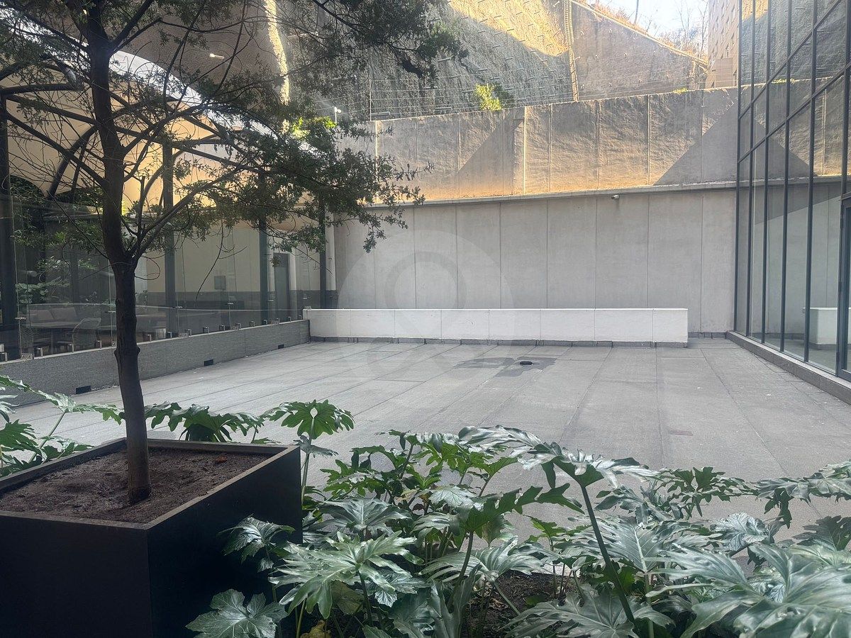 Sala Comercial em Paseo de las Lomas, Álvaro Obregón, foto 11 de 29