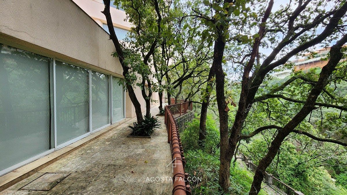 Apartment in Lomas de Vista Hermosa, Cuajimalpa de Morelos, photo 7 of 28