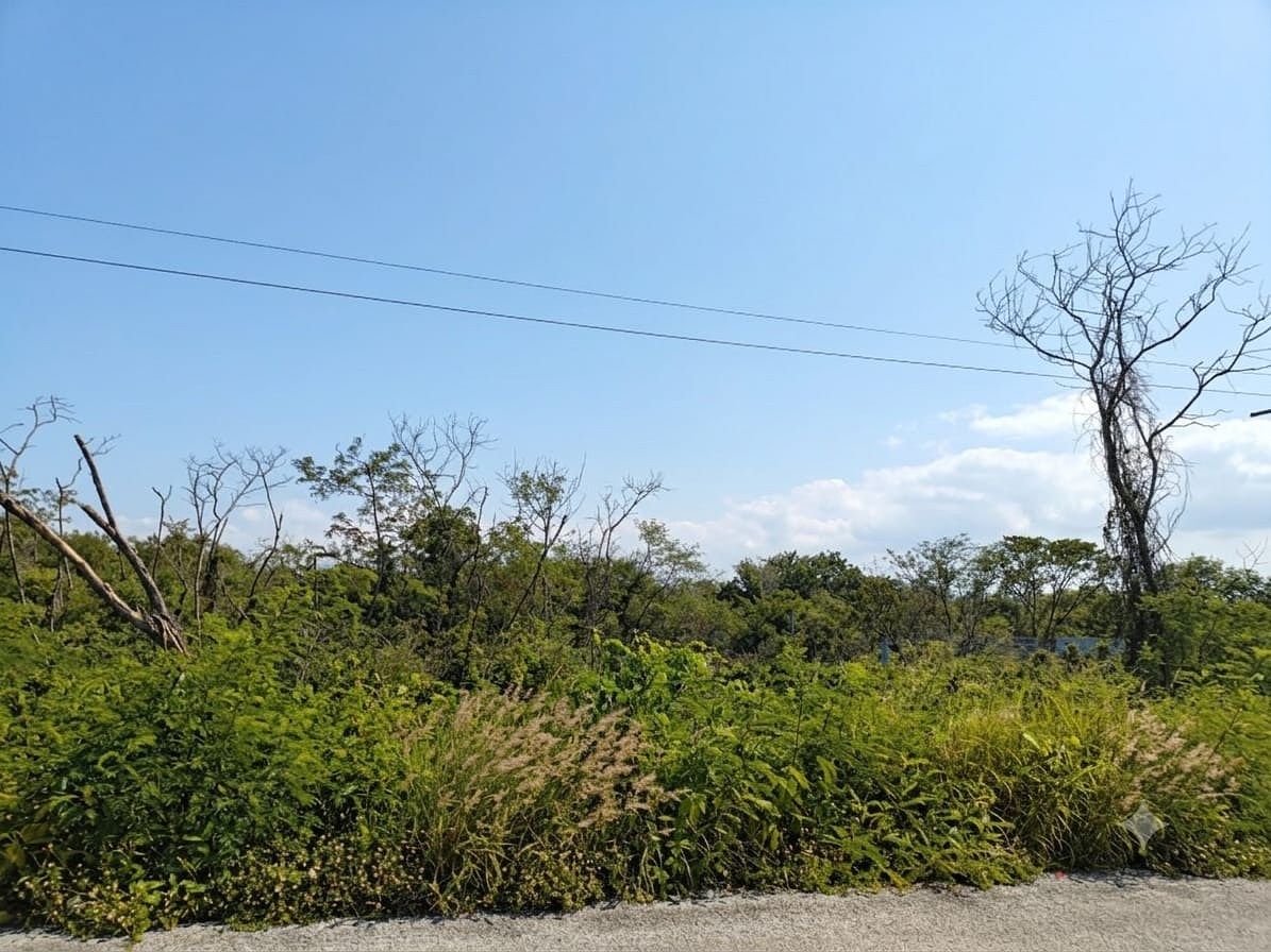 Terreno en Yaxkukul, Yaxkukul, foto 4 de 7